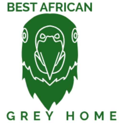 Best African Grey Home